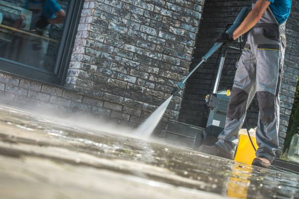 Best Paint Preparation  in Port Angeles, WA